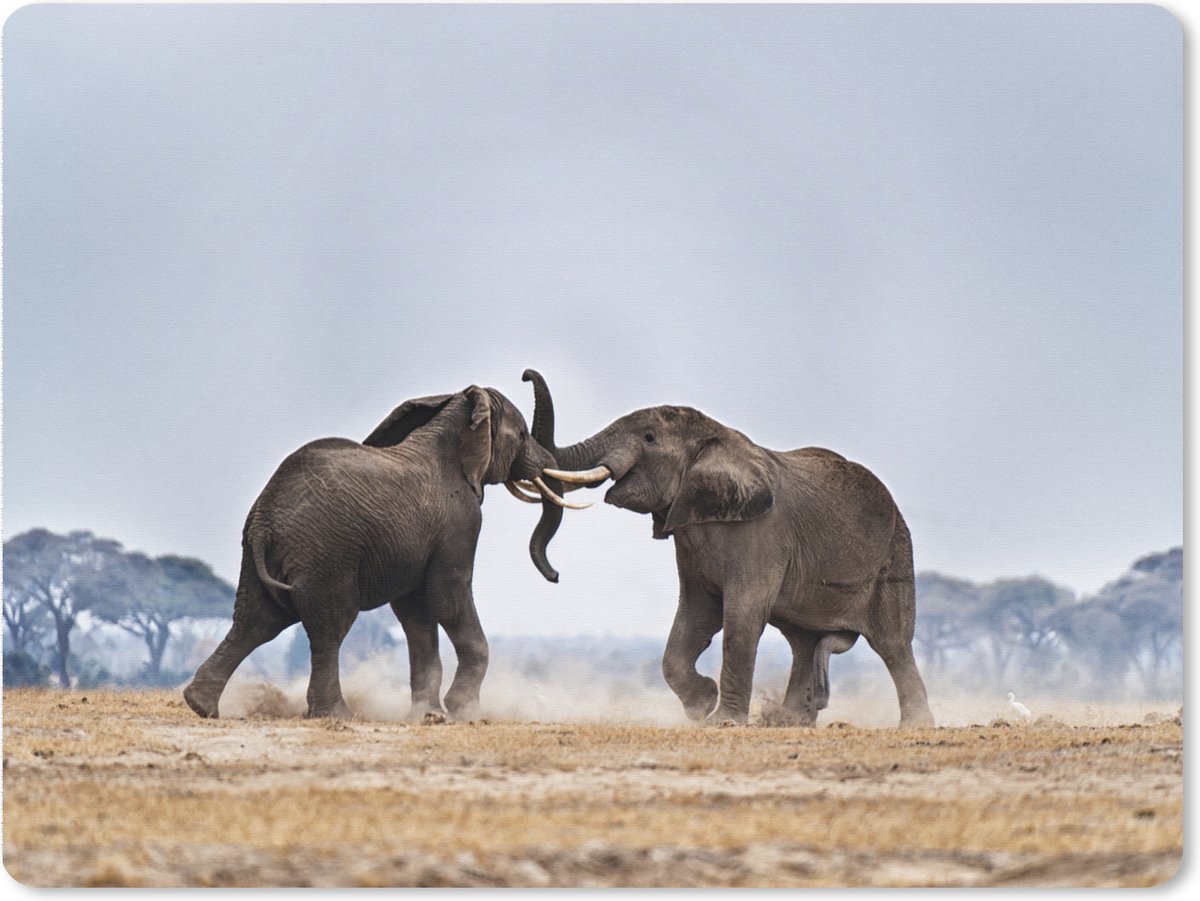 Muismat XXL 80x60 cm - Bureau onderlegger - Bureau mat Olifant - Dieren - Vlakte - Natuur - Bureaumat - Gaming mousepad xl - Bureaulegger groot - Computer deskmat