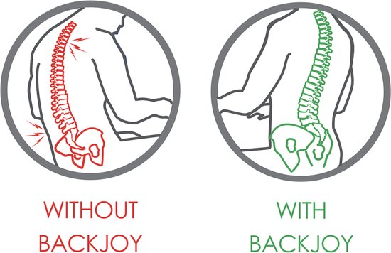 Backjoy Lumbar support - Rugsteun Zithouding Bureaustoel Auto - Rugpijn Onderrug - BackJoy