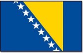 Vlag Bosnie en Herzegovina
