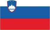 20x Binnen en buiten stickers Slovenie 10 cm - Sloveense vlag stickers - Supporter feestartikelen - Landen decoratie en versieringen