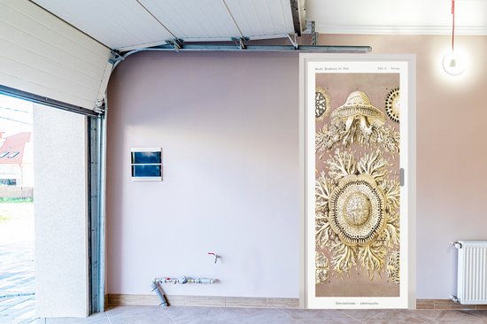 Sticker de porte Vintage - Ernst Haeckel - Méduse - Art - 90x235 cm - Affiche de porte