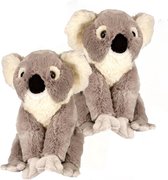2x stuks pluche koala beer knuffel 30 cm - Australische dieren speelgoed knuffels