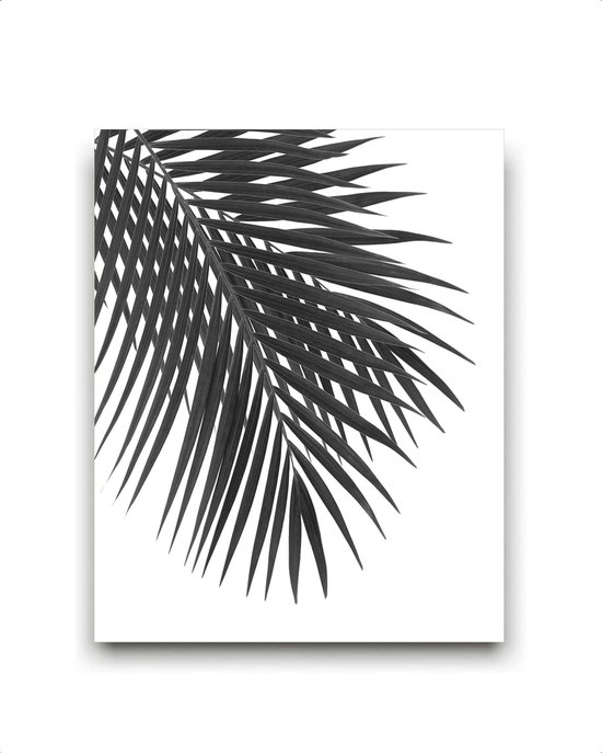 Schilderij  Tropisch palmboom blad links - Zwart / Wit / Zwart / Wit / 40x30cm