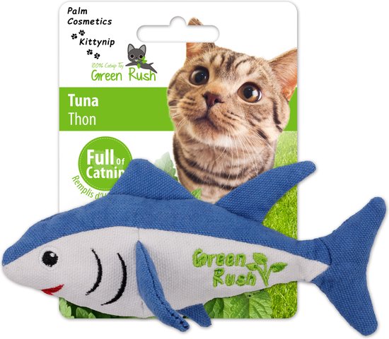 M%ogen katten kattenkruid eten? De do's en don'ts van kattenkruid
