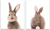 Set de peinture 2 Doux lapin devant et dos - fesses / Forêt / 30x21cm