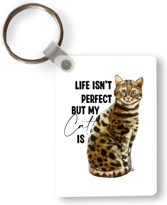Sleutelhanger - Spreuken - Quotes - Katten - Life isn't perfect but my cat is - Uitdeelcadeautjes - Plastic