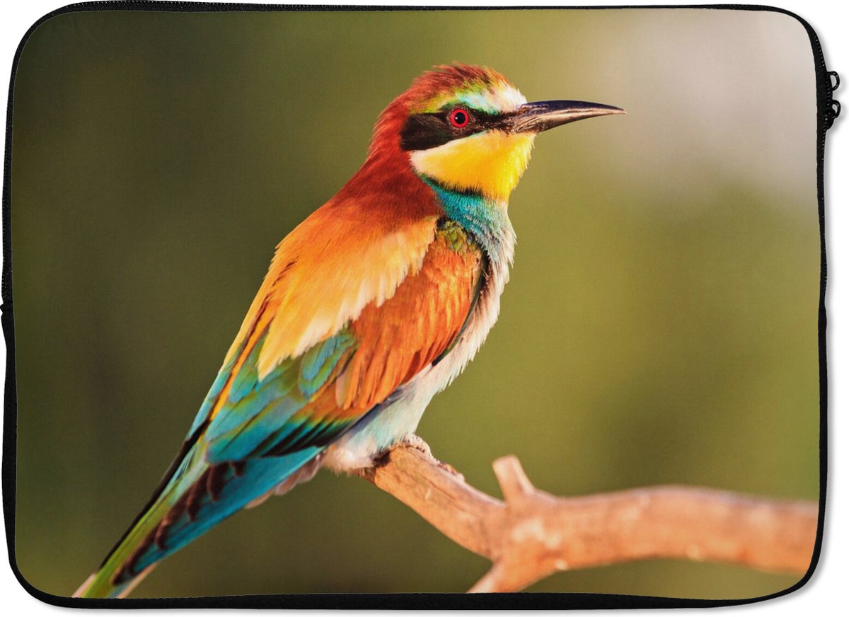 Laptophoes 13 inch - Vogels - Bijeneter - Regenboog - Dieren - Laptop sleeve - Binnenmaat 32x22,5 cm - Zwarte achterkant