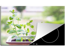 KitchenYeah® Inductie beschermer 81x52 cm - Verse pepermunt op de vensterbank in een bloempot - Kookplaataccessoires - Afdekplaat voor kookplaat - Inductiebeschermer - Inductiemat - Inductieplaat mat