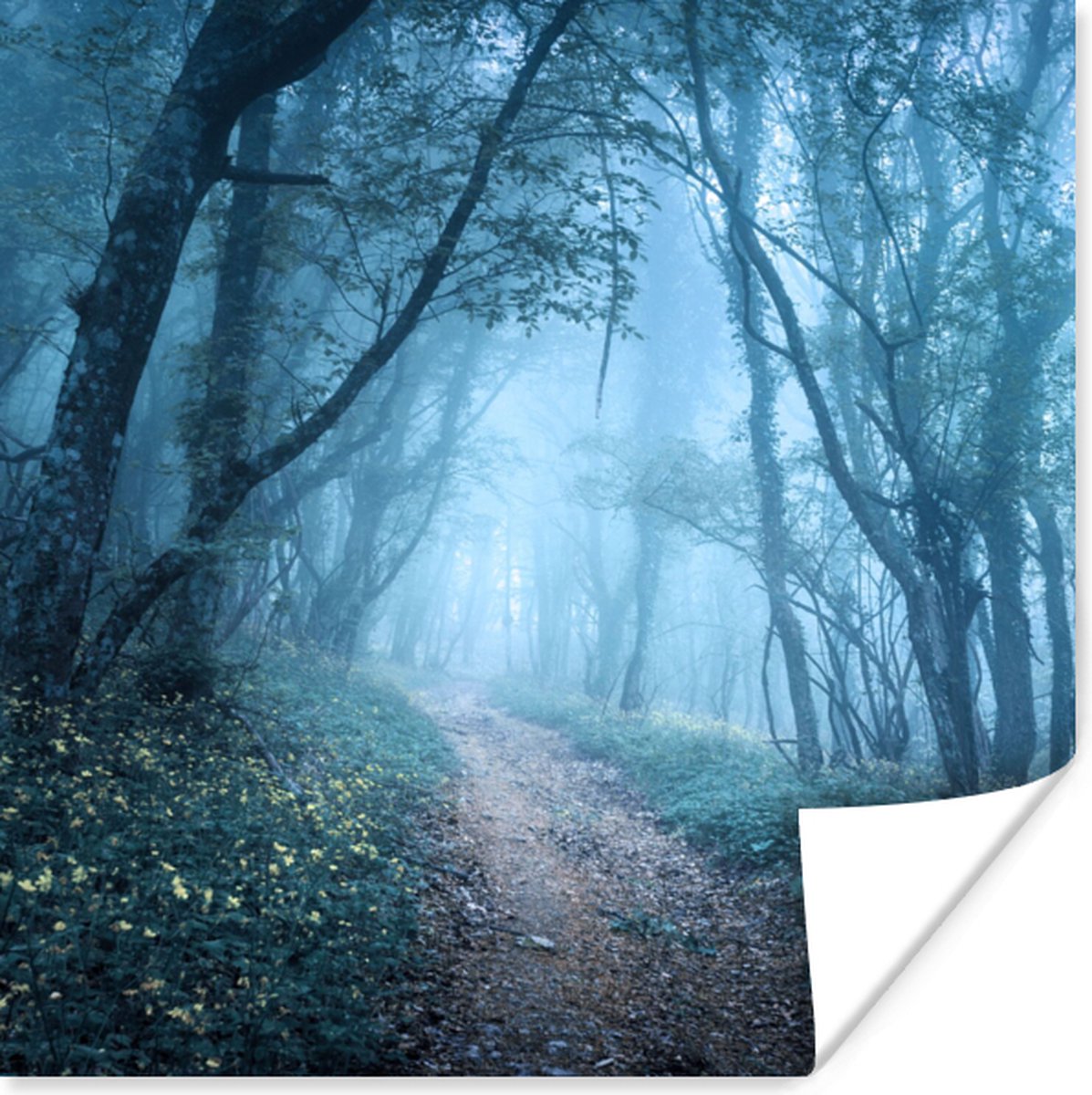 Poster Bomen - Natuur - Mist - 30x30 cm