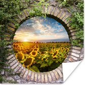 Affiche Tournesols - Vue à Travers - Fleurs - Soleil - 30x30 cm