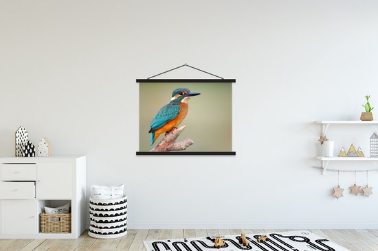 Porte-affiche avec affiche - Affiche scolaire - Vogel - Martin-pêcheur - Branche - 120x90 cm - Lattes noires