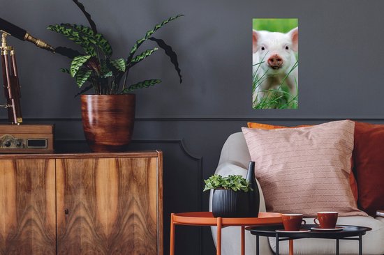 Poster Cochon - Animaux - Grand - 20x40 cm