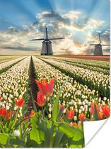 Poster Windmolen - Tulpen - Lucht - Natuur - 60x80 cm