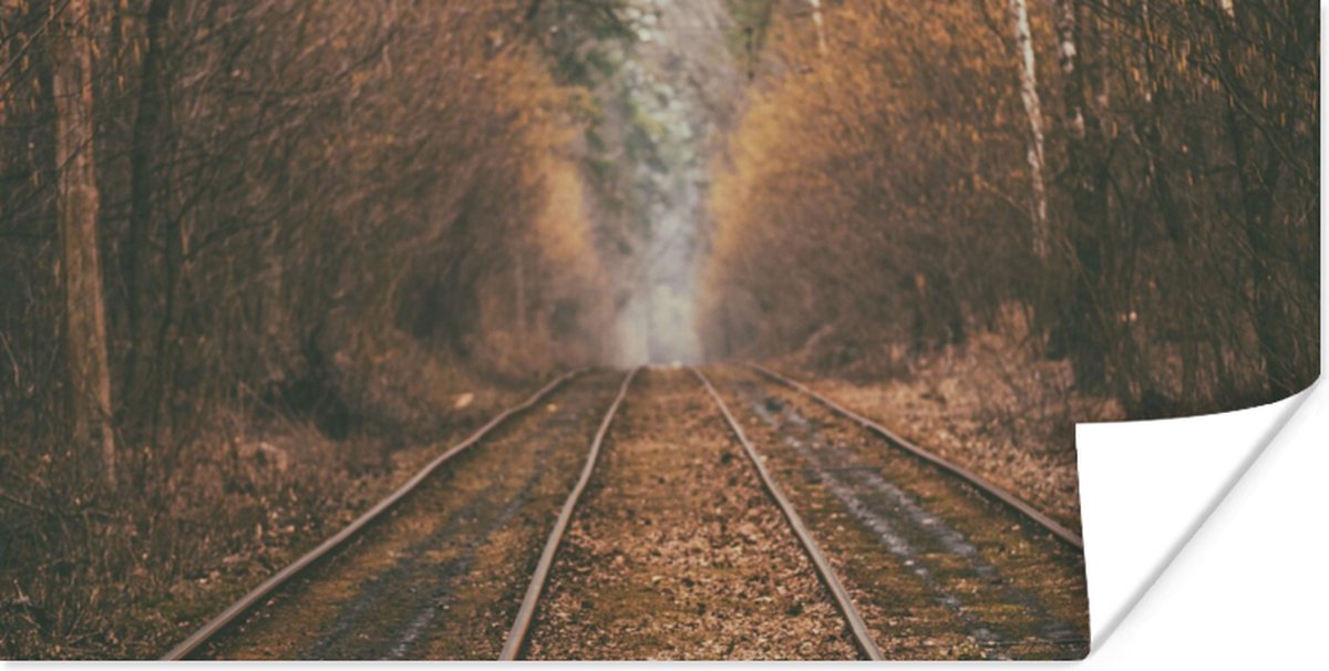 Poster Treinspoor - Pad - Bos - Boom - 160x80 cm