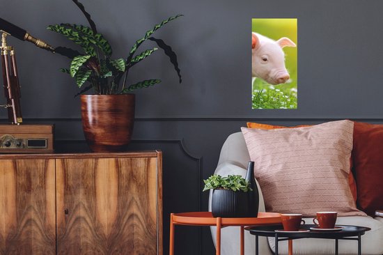 Poster Animaux - Porcinet - Cochon - 20x40 cm