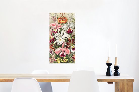 Affiche Fleurs - Ernst Haeckel - Vintage - Orchidée - 40x80 cm