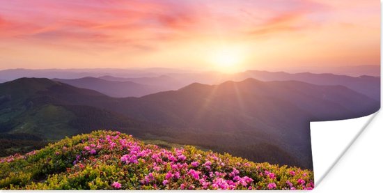 Poster Bloemen - Berg - Zonsondergang - Landschap - 80x40 cm