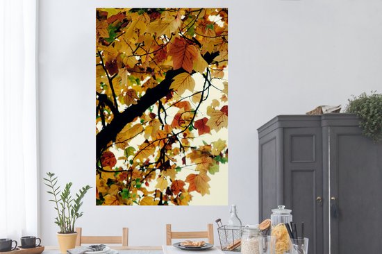 Affiche Arbres - Feuilles d'automne - Nature - 120x180 cm XXL