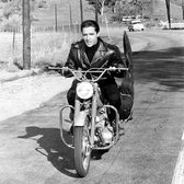 Poster / Papier - Filmsterren / Retro - Elvis Presley in wit / grijs / zwart - 60 x 60 cm
