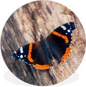 Papillon amiral sur un tronc d'arbre cercle mural plaque plastique - ⌀ 90 cm - peinture ronde - impression photo sur cercle mural plastique (forex) / cercle vivant / (décoration murale)