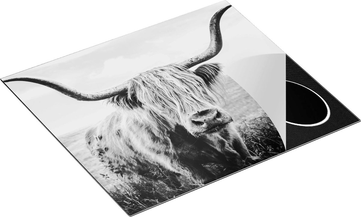 Chefcare Inductie Beschermer Schotse Hooglander Koe in de Wei - Zwart Wit - 59x51 cm - Afdekplaat Inductie - Kookplaat Beschermer - Inductie Mat