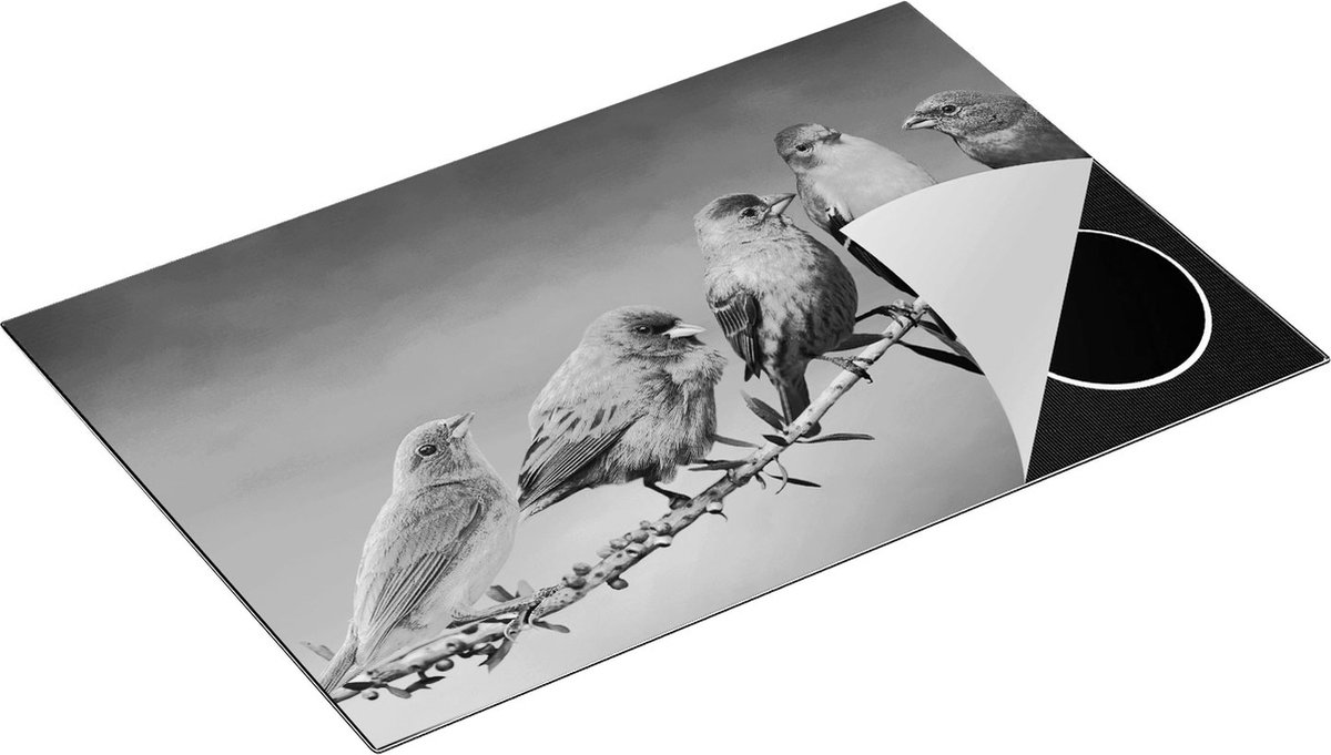 Chefcare Inductie Beschermer Kleurrijke Zangvogels op een Tak - Kleur - Zwart Wit - 80x52 cm - Afdekplaat Inductie - Kookplaat Beschermer - Inductie Mat