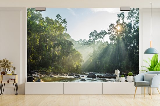 Papier peint vinyle - Le soleil brille sur une rivière dans une forêt malaisienne largeur 390 cm x hauteur 260 cm - Tirage photo sur papier peint (disponible en 7 tailles)