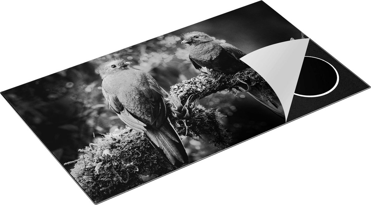 Chefcare Inductie Beschermer Twee Groene Quetzal Vogels op een Tak - Zwart Wit - 91,6x52,7 cm - Afdekplaat Inductie - Kookplaat Beschermer - Inductie Mat