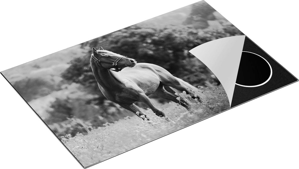 Chefcare Inductie Beschermer Bruin Paard in de Wei - Zwart Wit - 80x50 cm - Afdekplaat Inductie - Kookplaat Beschermer - Inductie Mat