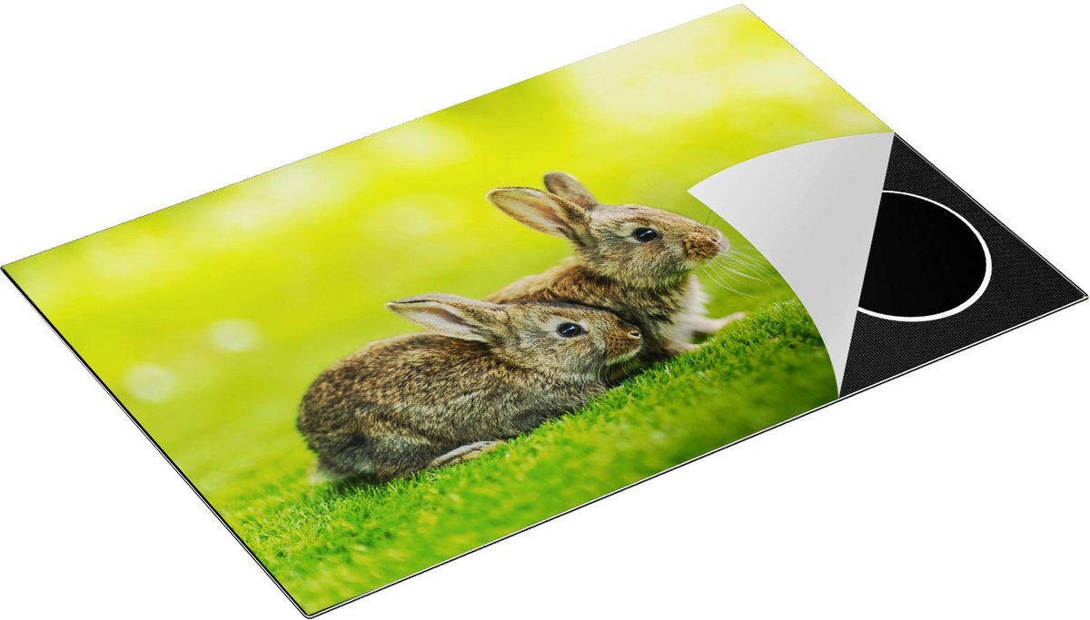 Chefcare Inductie Beschermer Twee Konijnen op het Groene Gras - 80,2x52,2 cm - Afdekplaat Inductie - Kookplaat Beschermer - Inductie Mat