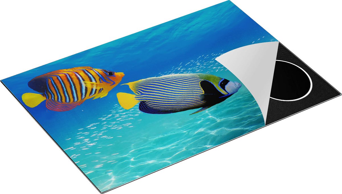 Chefcare Inductie Beschermer Twee Tropische Vissen in de Rode Zee - 75x52 cm - Afdekplaat Inductie - Kookplaat Beschermer - Inductie Mat