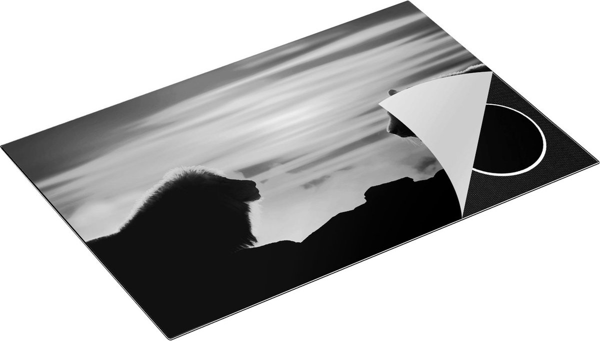 Chefcare Inductie Beschermer Leeuw en Tijger - Silhouet - Zonsopkomst - Zwart Wit - 78x52 cm - Afdekplaat Inductie - Kookplaat Beschermer - Inductie Mat
