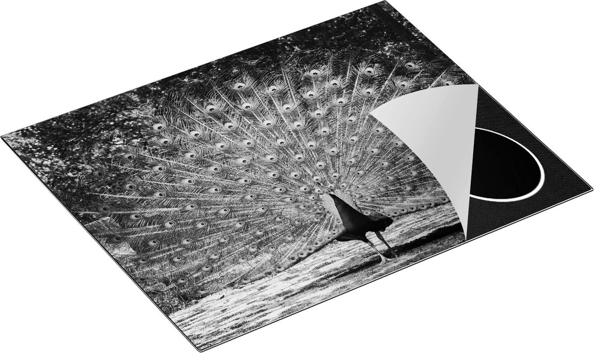 Chefcare Inductie Beschermer Pauw met Grote Kleurrijke Veren - Zwart Wit - 65x52 cm - Afdekplaat Inductie - Kookplaat Beschermer - Inductie Mat