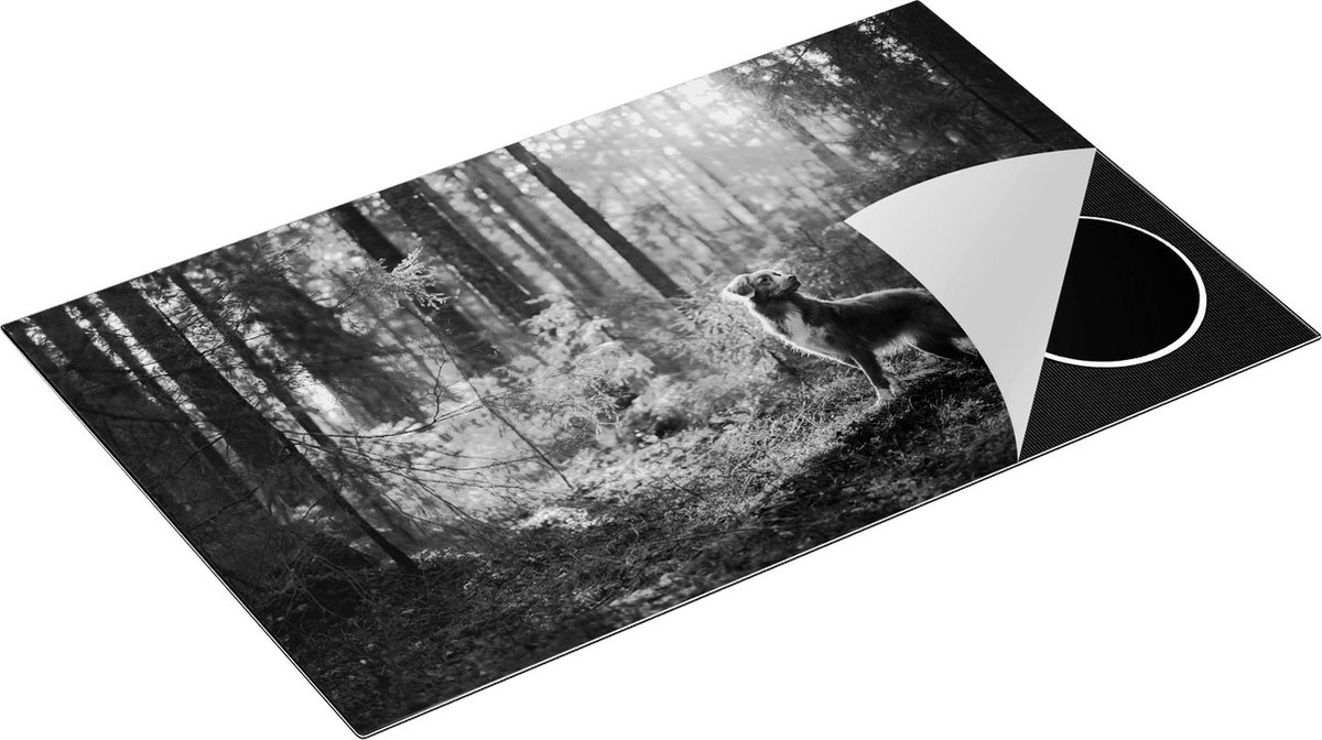 Chefcare Inductie Beschermer Retriever Hond in het Bos met Zon - Zwart Wit - 85x52 cm - Afdekplaat Inductie - Kookplaat Beschermer - Inductie Mat