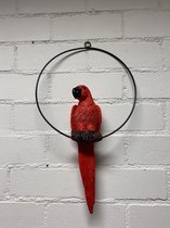 Wanddecoratie papegaai op metalen ring - polyresin + metaal - rood - hoogte 49 cm x 28 x 1 cm - Voor binnen of buiten - Woonaccessoires
