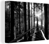 Canvas schilderij 160x120 cm - Wanddecoratie De zon schijnt door een bos van torenhoge bomen op de Azoren - zwart wit - Muurdecoratie woonkamer - Slaapkamer decoratie - Kamer accessoires - Schilderijen