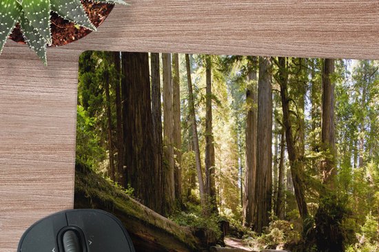 Tapis de souris XXL - Sous-main - Tapis de bureau - Jungle - Nature - Escaliers - Arbres - 50x50 cm - Tapis de souris XXL