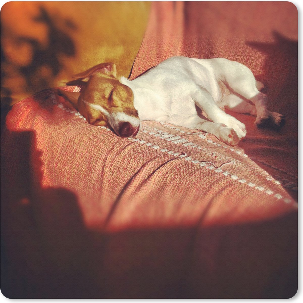 Muismat XXL 80x80 cm - Bureau onderlegger - Bureau mat Jack Russel hond aan het genieten - Bureaumat - Gaming mousepad xl - Bureaulegger groot - Computer deskmat