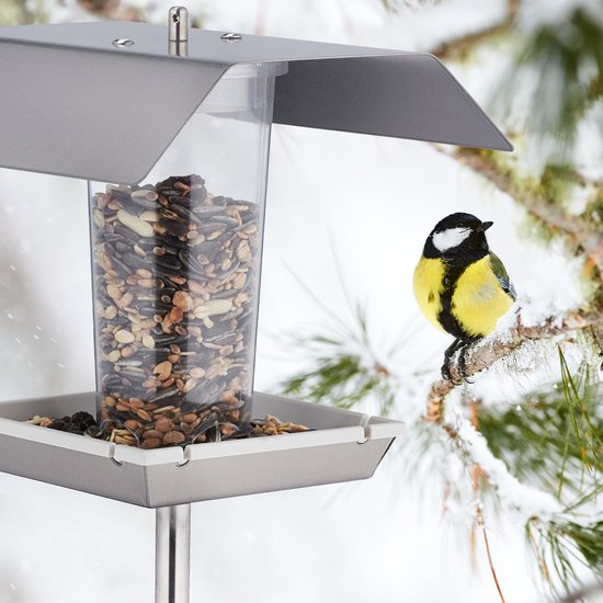 Vogelvoederbak, zilverkleurig dak, transparante silo vol zaadjes, zilverkleurige bak met zaadjes, met een koolmees.