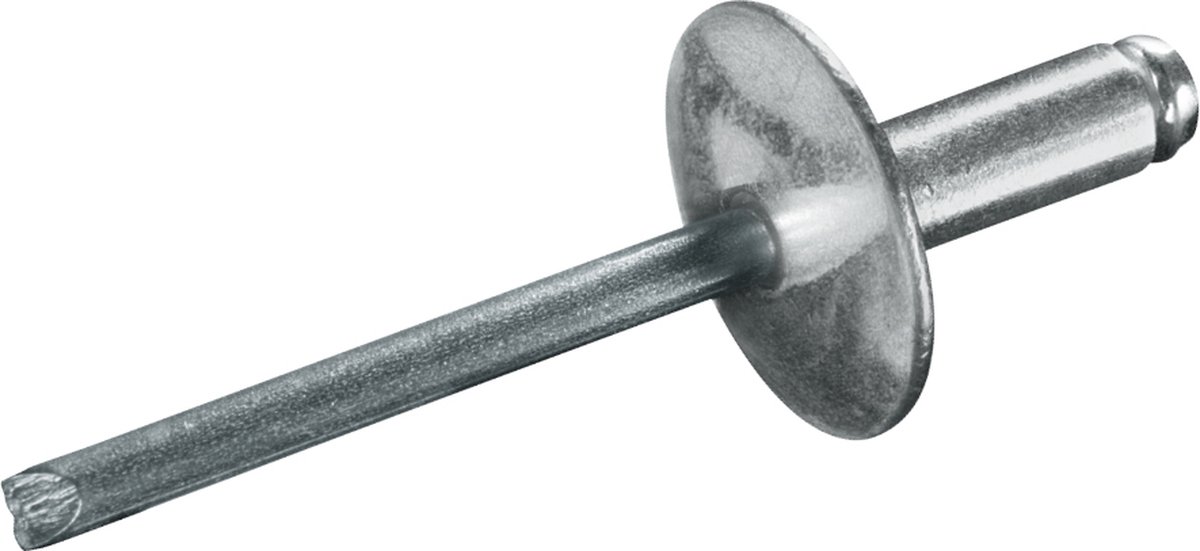 GOEBEL® - 500 x Blindklinknagels 4 x 10 mm - Staal verzinkt / Staal verzinkt - Grote kop - STANDARD - 7081240100 - Popnagel
