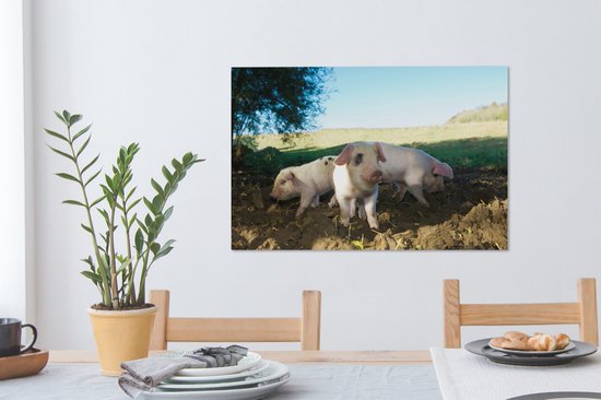 Toile Peinture Cochons - Animaux - Paysage - 60x40 cm - Décoration murale