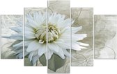Trend24 - Canvas Schilderij - White Flower - Vijfluik - Bloemen - 100x70x2 cm - Beige