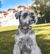 Luxe leren honden halsband met edelstenen - rozen quarzt - leer - band - hondenriem - spiritueel - uitlaten - dier