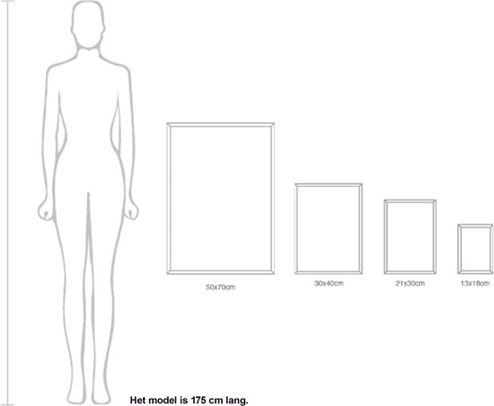 Affiches Zwart et blanc - Affiches Animaux - 2 pièces 30x40 cm - Lion & lionne - Décoration murale - Décoration chambre