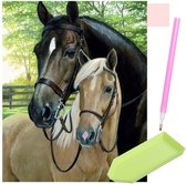 Malatec Diamond Painting Set "Paarden" - 30x40 cm - Kunstzinnige Ontspanning