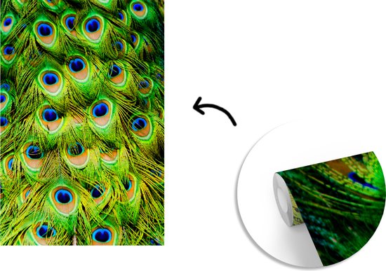 Papier peint Papier peint photo en vinyle - Structure plumes de paon largeur 160 cm x hauteur 240 cm - Tirage photo sur papier peint (disponible en 7 tailles)