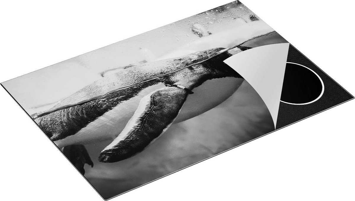Chefcare Inductie Beschermer Pinguïn Zwemt in het Water - Zwart Wit - 75x50 cm - Afdekplaat Inductie - Kookplaat Beschermer - Inductie Mat