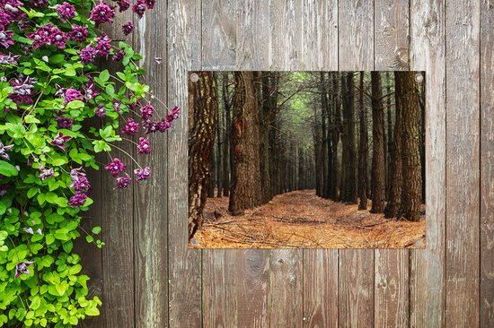 Affiche jardin - Automne - Forêt - Arbres - 40x30 cm - Décoration jardin - Affiche clôture - Toile jardin - Affiche extérieur