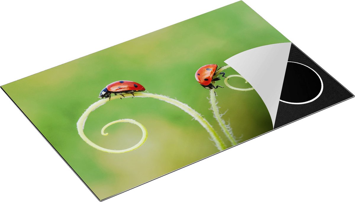 Chefcare Inductie Beschermer Twee Lieveheersbeestjes in het Gras - 83x51,5 cm - Afdekplaat Inductie - Kookplaat Beschermer - Inductie Mat