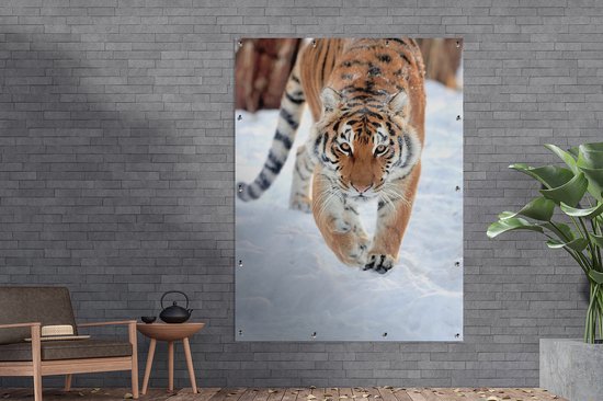 Tableau de jardin Tigre - Animaux - Tigre - Neige - Toile de jardin - Affiche de Décoration de jardin de jardin - 120x160 cm
